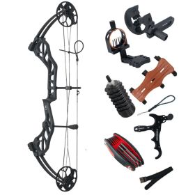 Compound Bow Archery Sets 19-70lbs Draw Weight Adjustable Shooting Right Hand Hunting Bows Adult Beginners Kit Up to IBO 320 Fps (Color: black set)